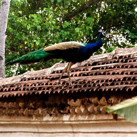 Bed and Breakfast Casa De Mor Anjuna Exterior foto